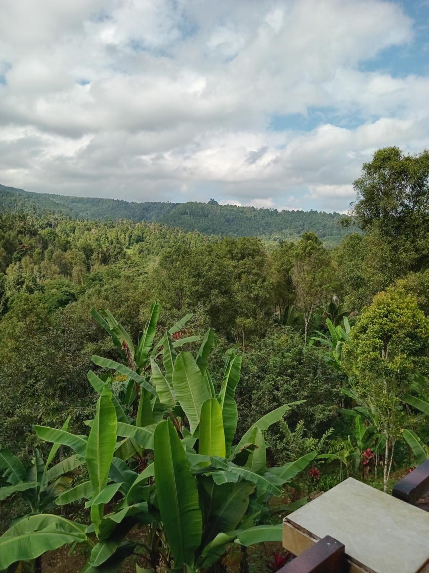 Kanaya Homestay & Warung Heaven Munduk Eksteriør billede