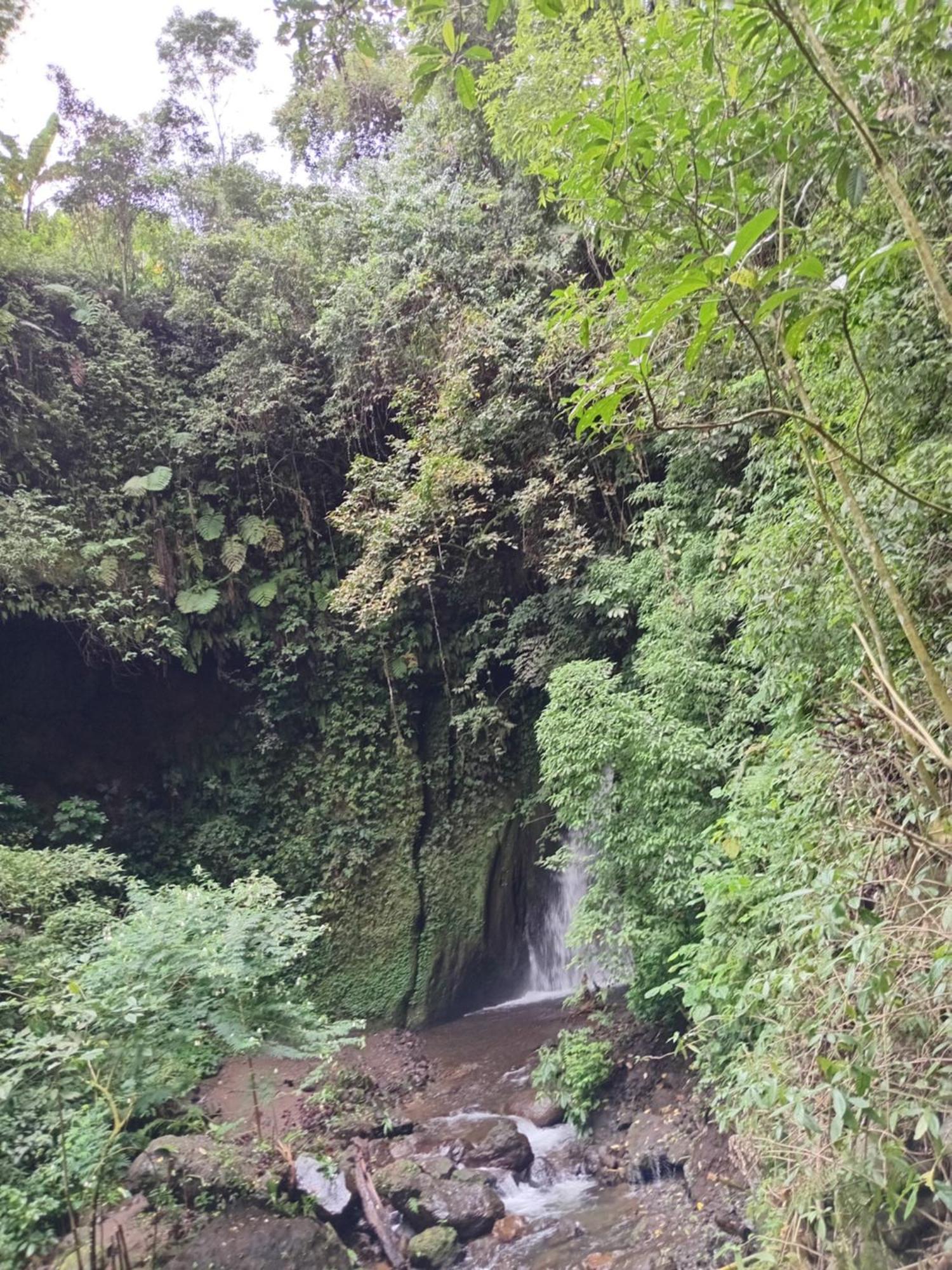 Kanaya Homestay & Warung Heaven Munduk Eksteriør billede