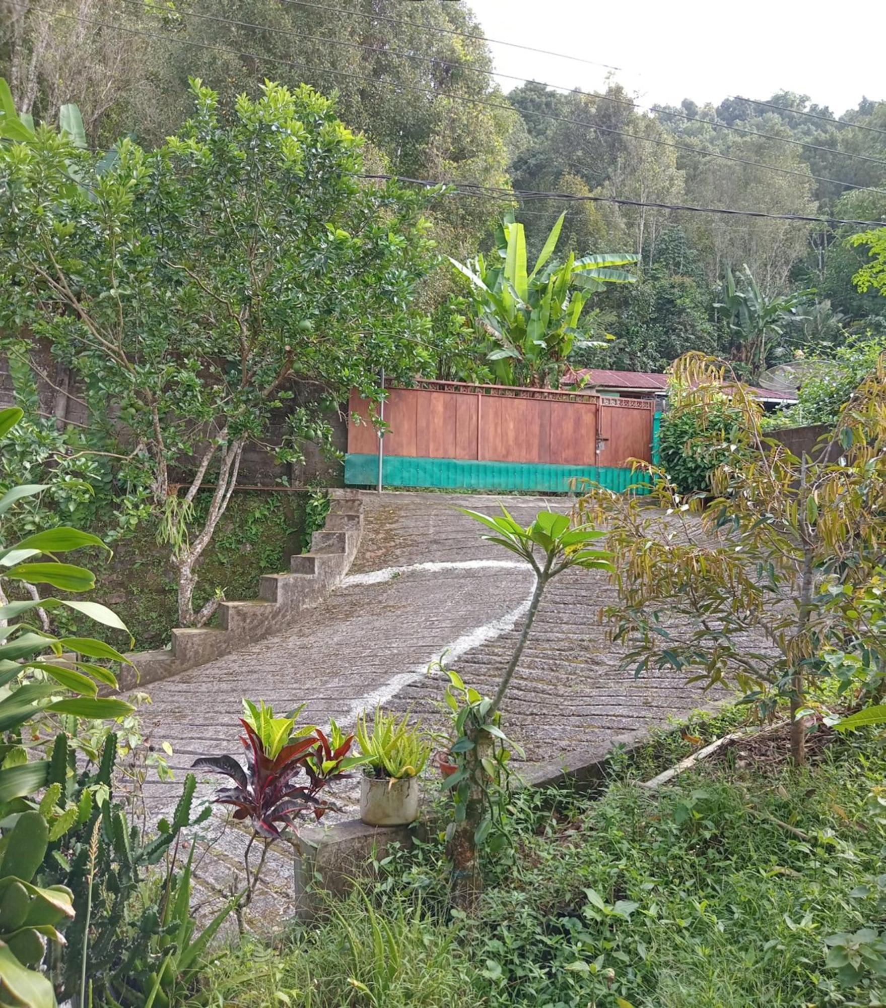 Kanaya Homestay & Warung Heaven Munduk Eksteriør billede